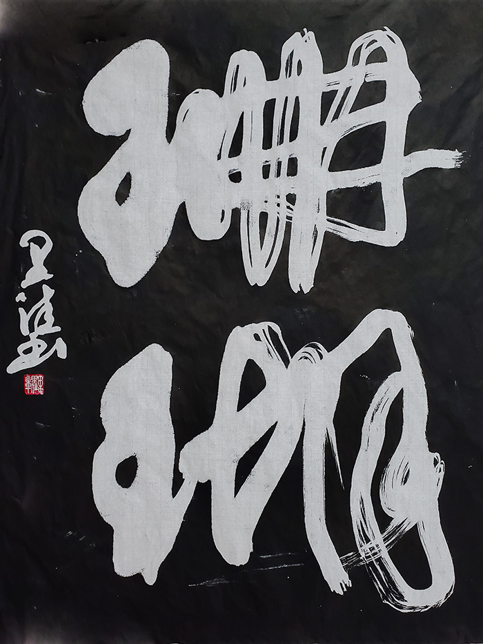 珊瑚